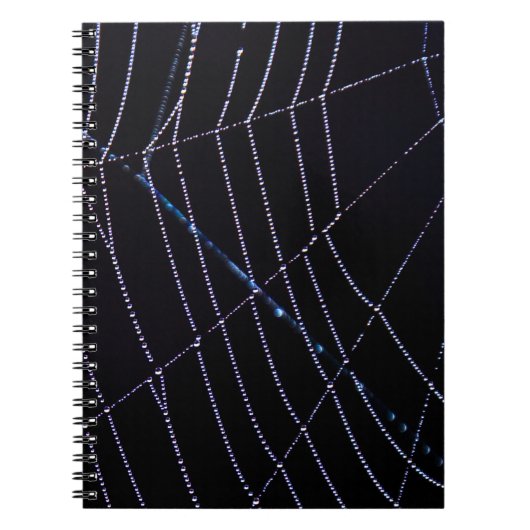 スパイダーウェブ ノートブック (正面)