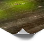 スパイダーウェブ ポスター (角)