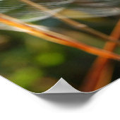 スパイダーウェブ ポスター (角)