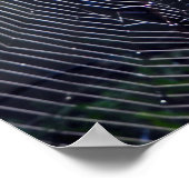 スパイダーウェブ ポスター (角)