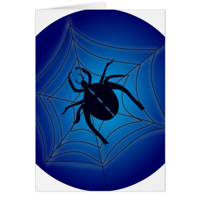 スパイダーオンくもの巣 (正面)