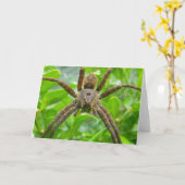 スパイダーカード カード (黄色い花)