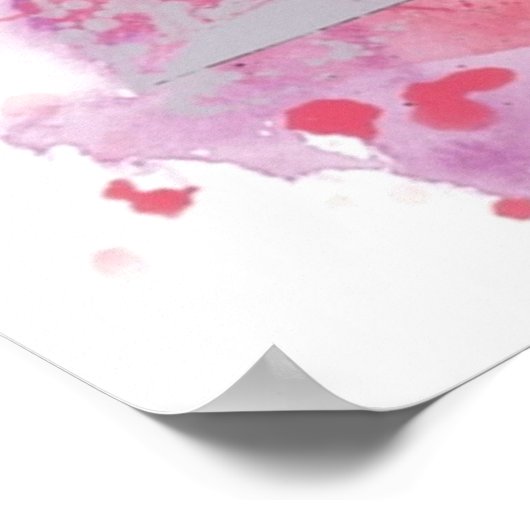 スパイダーグウェン – (ばちゃばちゃ)跳ねるアート ポスター (角)