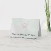 スパイダーグリーティングカード カード (裏面)