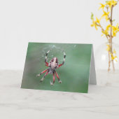 スパイダーグリーティングカード カード (黄色い花)