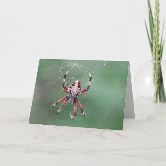 スパイダーグリーティングカード カード (正面)