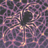 スパイダーコズミックくもの巣ハロウィーン銀河系の恐怖 シール (正面)