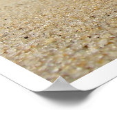 スパイダーコンチシーシェルオンビーチ砂 ポスター (角)