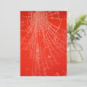 スパイダースくもの巣招待状 招待状 (スタンド正面)