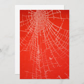 スパイダースくもの巣招待状 招待状 (正面/裏面)