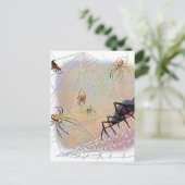 スパイダースはがき ポストカード (スタンド正面)