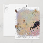 スパイダースはがき ポストカード (正面/裏面)