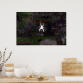 スパイダーズくもの巣 ポスター (キッチン)