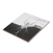 スパイダーセラミックタイル タイル (側面)