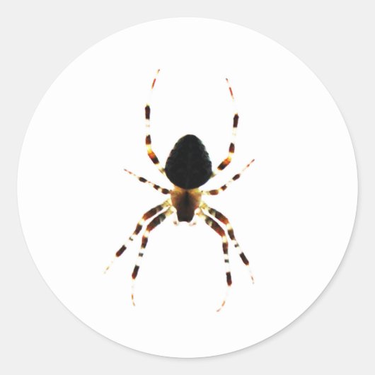 スパイダーセントアーク2 ラウンドシール (正面)