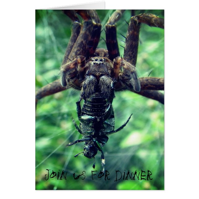 スパイダーハロウィーンディナー招待状 (正面)