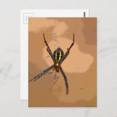 スパイダーブラックとイエロークイーンズランドのオーストラリア ポストカード (正面/裏面)