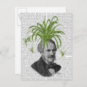 スパイダープラントヘッド ポストカード (正面/裏面)