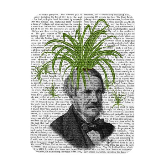 スパイダープラントヘッド マグネット (縦)