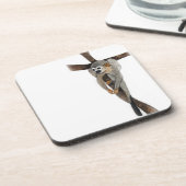 スパイダーモンキーペンアート コースター (左側)