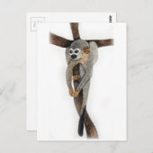 スパイダーモンキーペンアート ポストカード (正面/裏面)