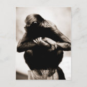 スパイダーモンキーポストカード ポストカード (正面)