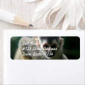 スパイダーモンキー差出人住所ラベル ラベル (インサイチュ)