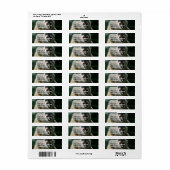 スパイダーモンキー差出人住所ラベル ラベル (フルシート)