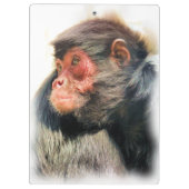 スパイダーモンキー クリップボード (裏面)