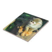 スパイダーモンキー タイル (側面)