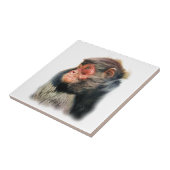 スパイダーモンキー タイル (側面)