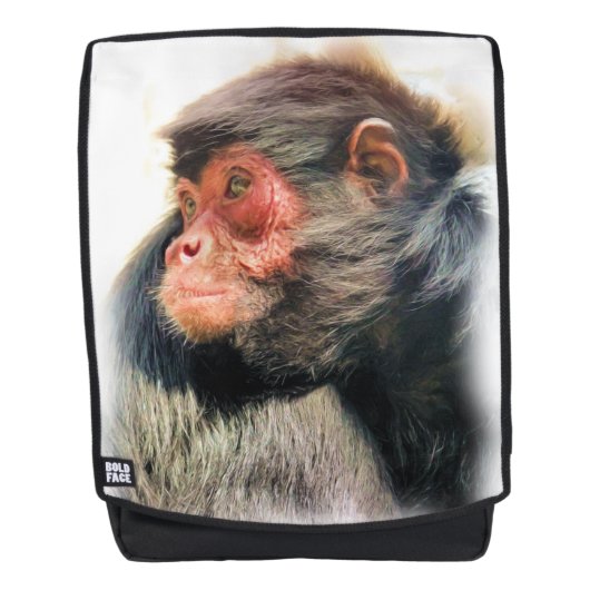 スパイダーモンキー バックパック (正面)