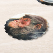 スパイダーモンキー ペーパーコースター (アングル)