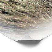 スパイダーモンキー ポスター (コーナー)