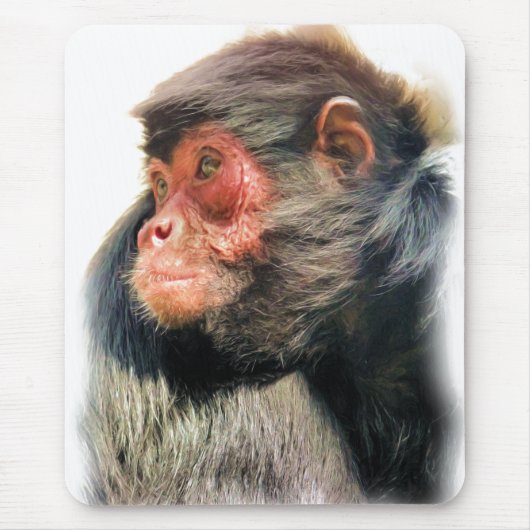 スパイダーモンキー マウスパッド (正面)