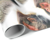 スパイダーモンキー ラッピングペーパー (ロールコーナー)