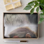 スパイダーモンキー 薄葉紙 (ギフト)