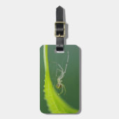 スパイダーラゲッジタグ ラゲッジタグ (正面縦)