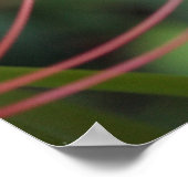 スパイダーリリーのポスター ポスター (角)