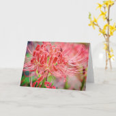 スパイダーリリー聖なる書物、 経典カードエクスクレアステート7:13 カード (黄色い花)