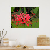 スパイダーリリー2 ポスター (キッチン)