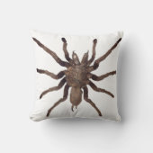 スパイダー装飾用クッション クッション (正面)