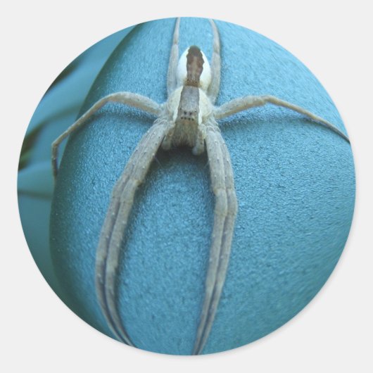 スパイダー164 ～ステッカー ラウンドシール (正面)