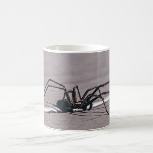 スパイダー コーヒーマグ コーヒーマグカップ (中央)
