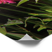 スパイダー – シャーロットスくもの巣 ポスター (角)