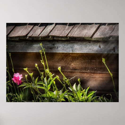 スパイダー – シャーロットスくもの巣 ポスター (正面)