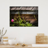 スパイダー – シャーロットスくもの巣 ポスター (キッチン)