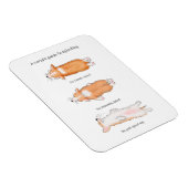 スパイティングマグネットへのかわいいコーギの子犬ガイド マグネット (右側)