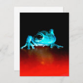 スパイディーフロッグ グリーンフロッグ 動物愛好家 招待状 (正面/裏面)