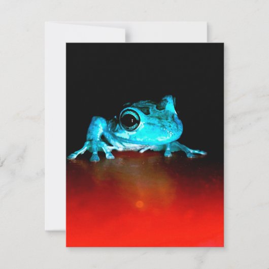 スパイディーフロッグ グリーンフロッグ 野生動物愛好家 招待状 (正面)